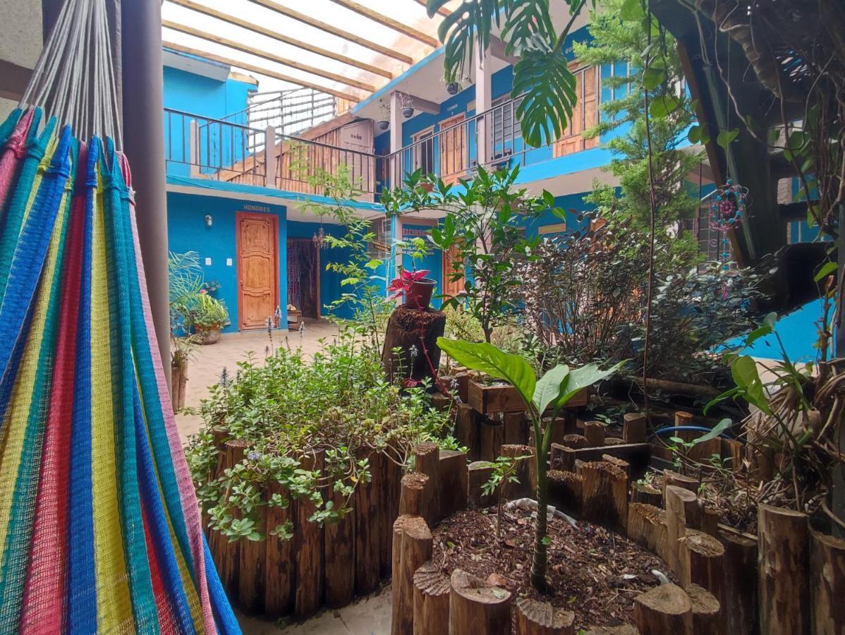 Hostal Ikal ซานกริสโตบัล เด ลาสกาซาส ภายนอก รูปภาพ