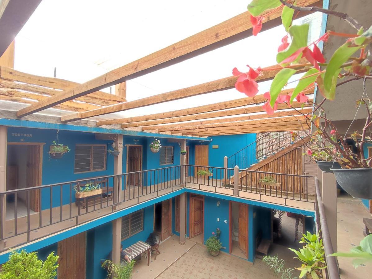 Hostal Ikal ซานกริสโตบัล เด ลาสกาซาส ภายนอก รูปภาพ